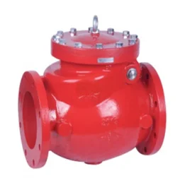 As 2129 Table D/E Flanged Swing Check Valves